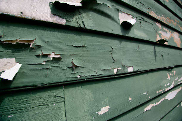 Best Moving and Downsizing Cleanouts  in Thomaston, NY